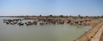 03 Barrage De Sougoudou   Vocation Pastorale